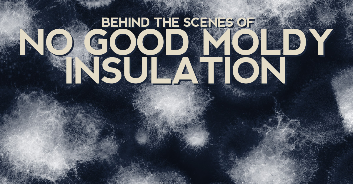 Behind The Scenes Of No Good Moldy Insulation
